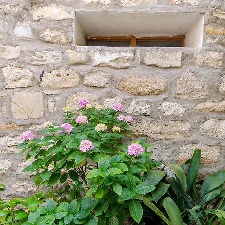 Taida * Spalato