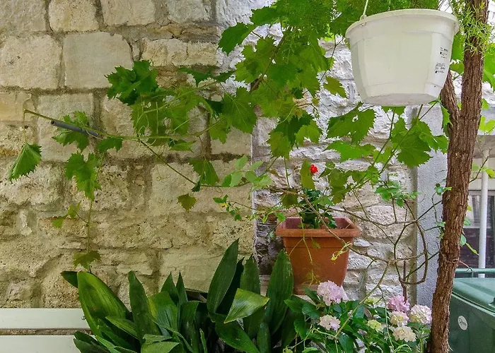 Апартаменты Taida Сплит